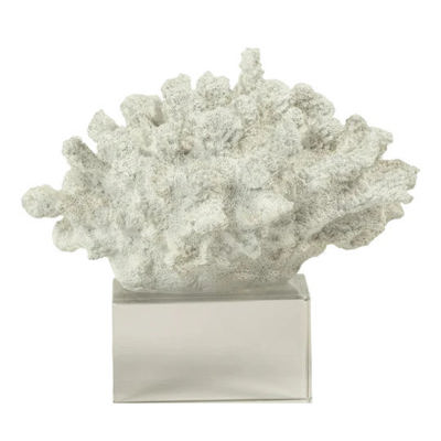 White Coral on Acrylic Base