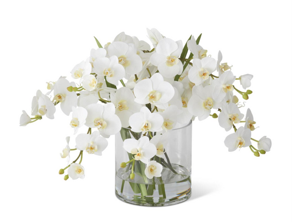 Orchid in Glass Vase with Faux Water