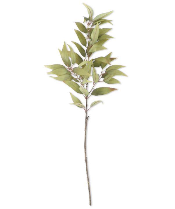 Green Eucalyptus Branch w/Pods, 48"