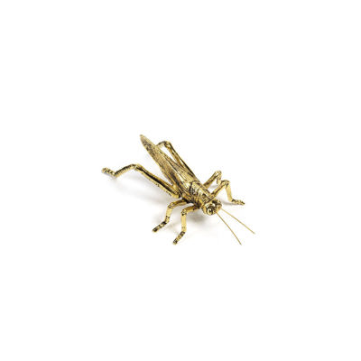Decorative Gold Grasshopper