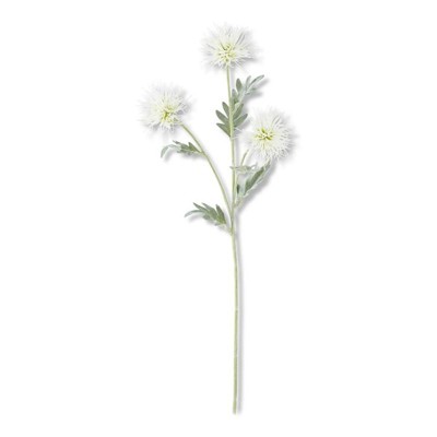 26in 3 Head White Spikey Cactus Dahlia Stem