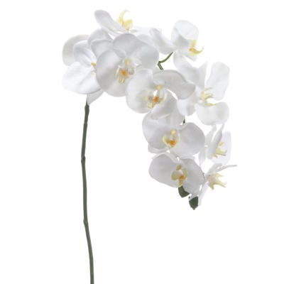 Silk Phalaenopsis Orchid Flower Spray