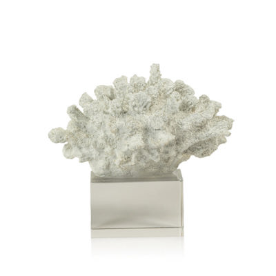 White Coral on Acrylic Base