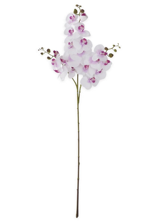 White and Purple Orchid Spray