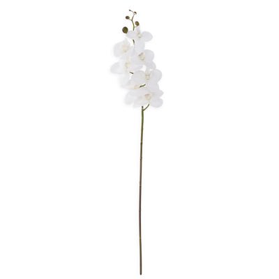34.5 Inch White Orchid Stem